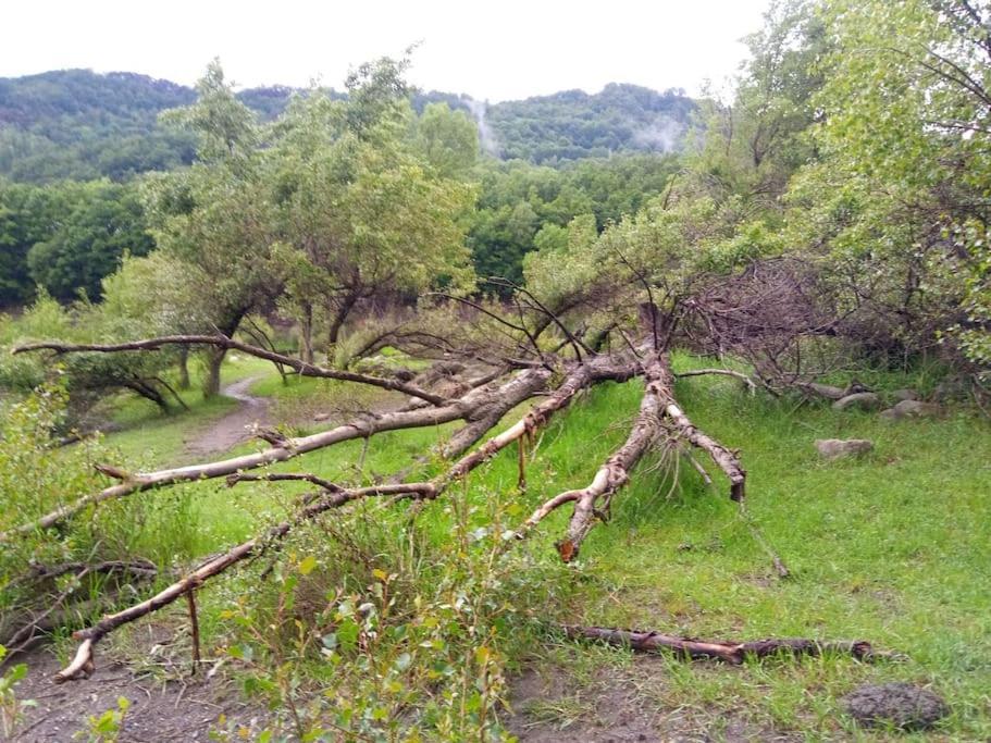 Ferienwohnung Atico En Pleno Pirineo El Pueyo de Jaca Exterior foto