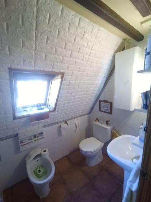 Ferienwohnung Atico En Pleno Pirineo El Pueyo de Jaca Exterior foto